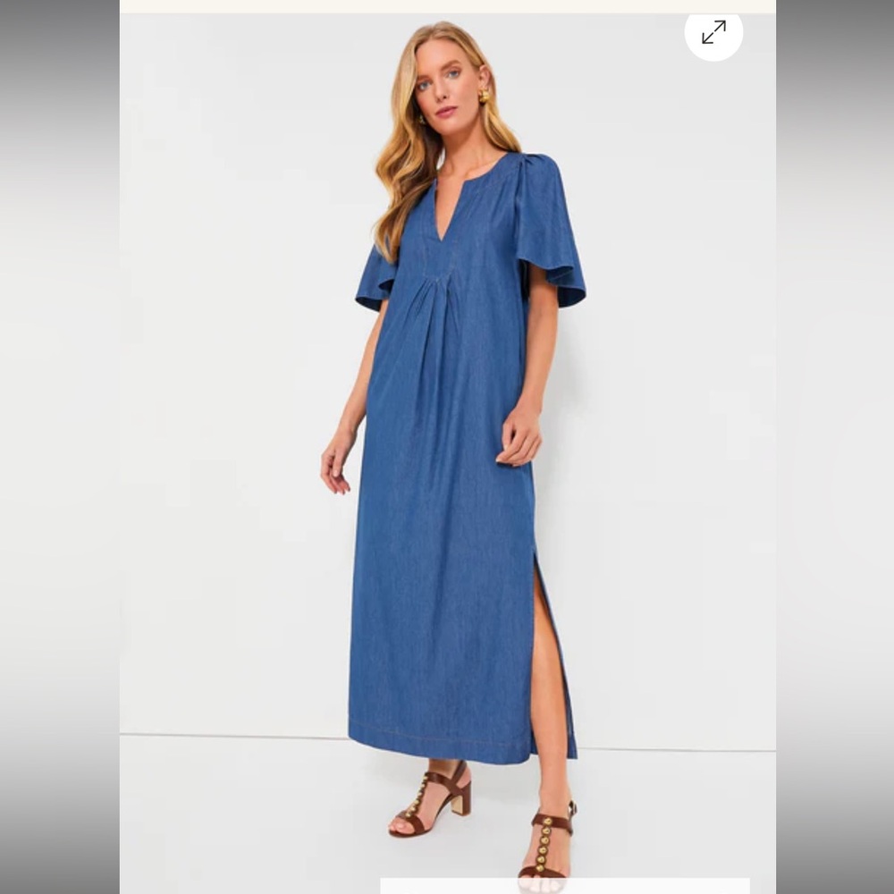 Tuckernuck Pomander Place Denim Finley Flutter Sleeve Maxi Dress Worn Once